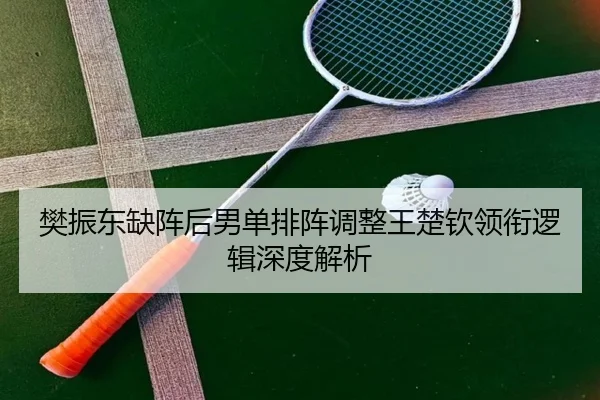 樊振东缺阵后男单排阵调整王楚钦领衔逻辑深度解析